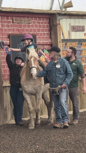 Healing with Horses: Seeing, believing in a better lifestyle